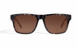 Image of Cheeterz Club eyewear. Photo of square sunglasses with brown tinted lenses. The frames are wide width with gray and black color. Suitable for round, oval, and square face shapes.